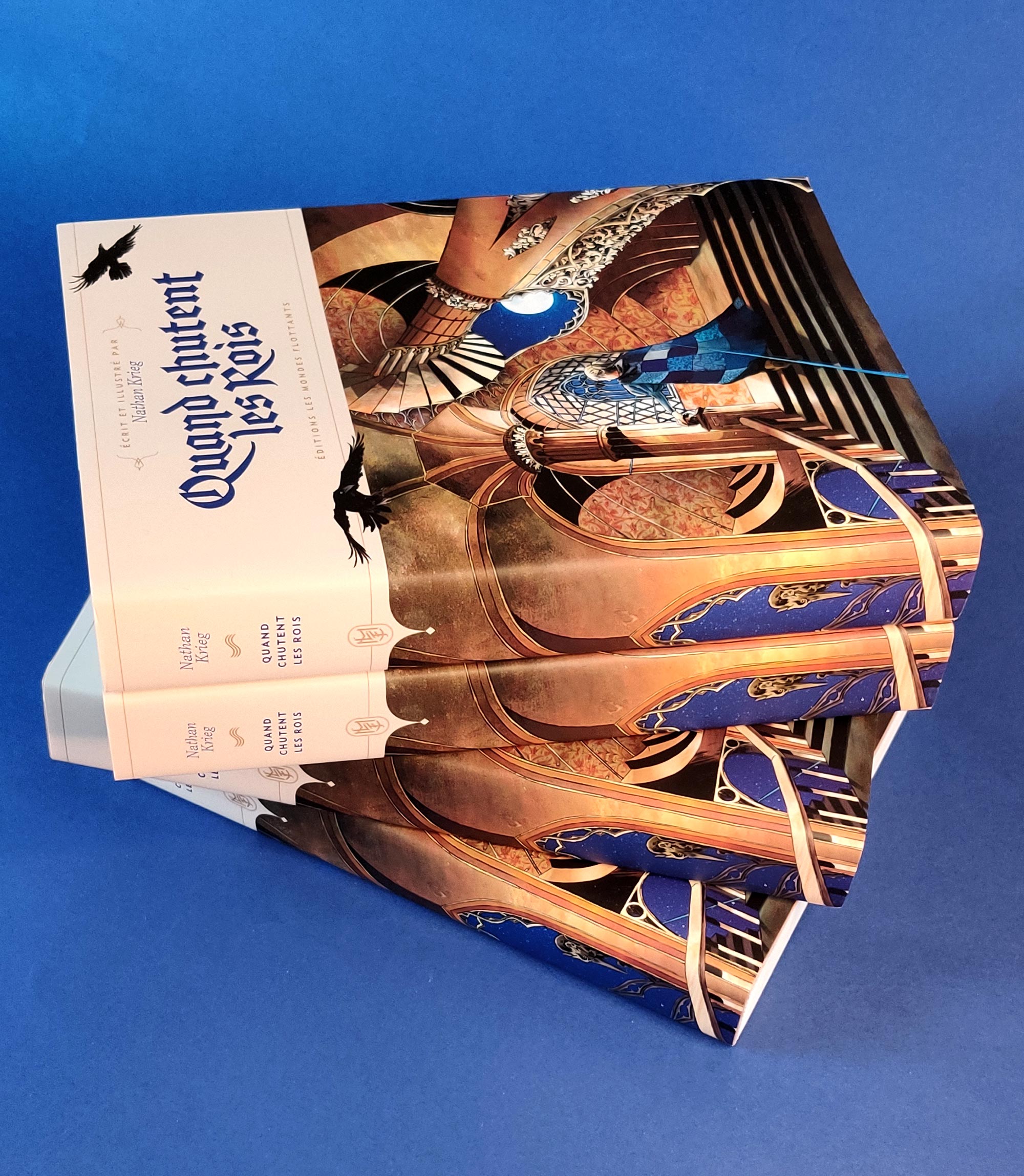Quand chutent les rois, roman fantasy, Nathan Krieg